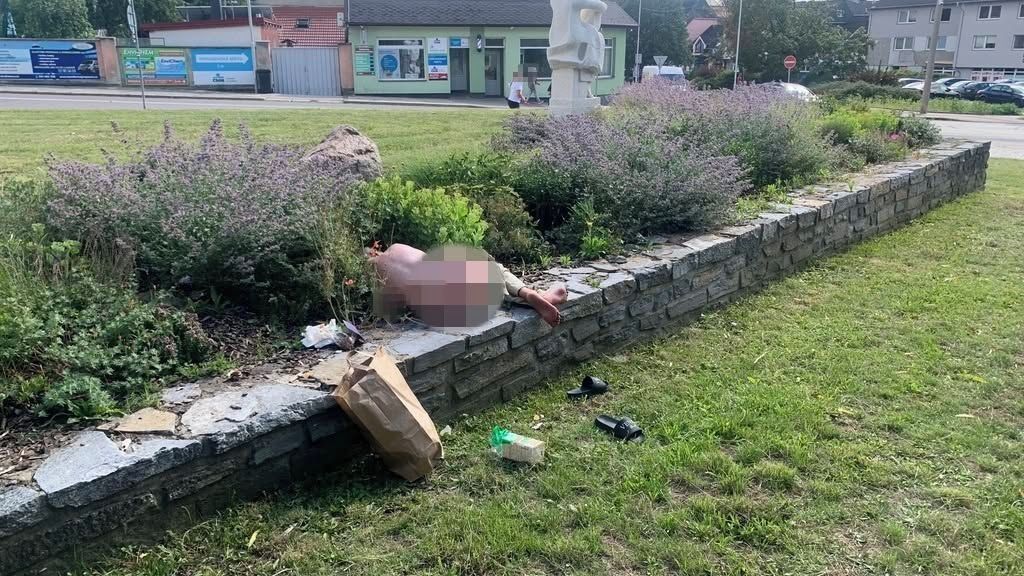 Žena se v centru Boskovic opalovala nahá, šokovala účastníky poutě - Novinky